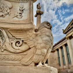 Eine Eule in Athen