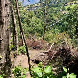 Steiler Weg durch Sturmholz zur Suone hinauf