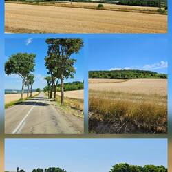 Unterwegs