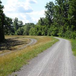 Auf einem Hochwasserdamm auf dem Weg zum Rheinfähre Leimersheim