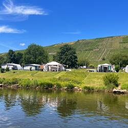 Moselcamping vor dem Weinberg Klüsserather Bruderschaft