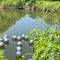 Pond balls