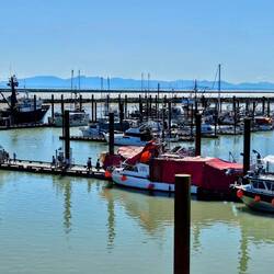 View over my shoulder at our seafood restaurant at Steveston Harbor