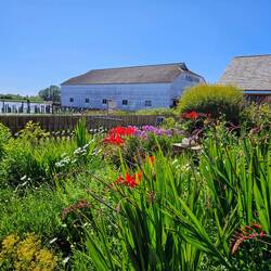 Garden still remaining from Japanese workers at Britannia Shipyards