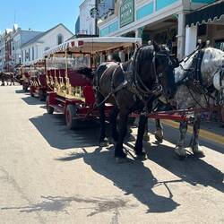 Lake Shore Drive, Mackinac Island [3]