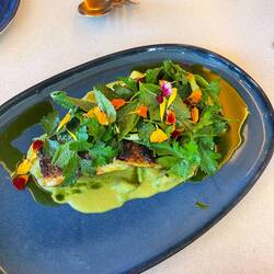 Sea bass air dried, pea sauce, parsley sauce on top