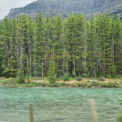 View on bus journey