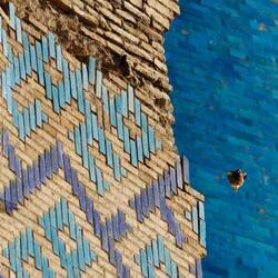 Angry bird 😂😂😂🐥 (vor der blauen Kuppel)