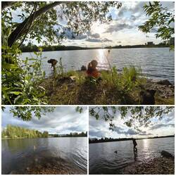 Picknickplatz zum Abendbrot