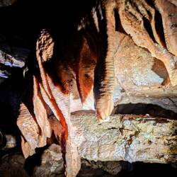 Looks like skin or intestines