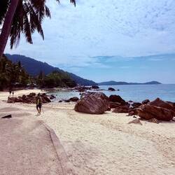 ...que les autres ! L'occasion de se rafraîchir et nager avec tortues ou poissons multicolores