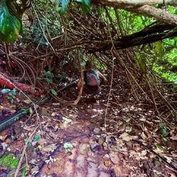 L'exploration n'est pas de tout repos et la marche dans la jungle se mérite