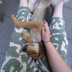 Do you see that little tongue? 😍