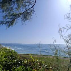 Und im Hintergrund die ⛰️⛰️