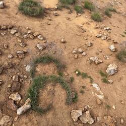 Strange growth patterns in the geothermal area