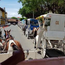 A carriage ride with Maurice as an excellent city guide.