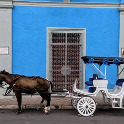 Horse-drawn carriage rides are a typical tourist attraction in Granada.