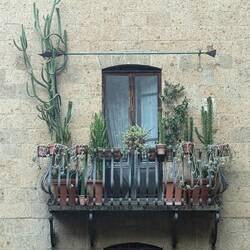 One of the better balcony gardens I saw. Succulents are big here.