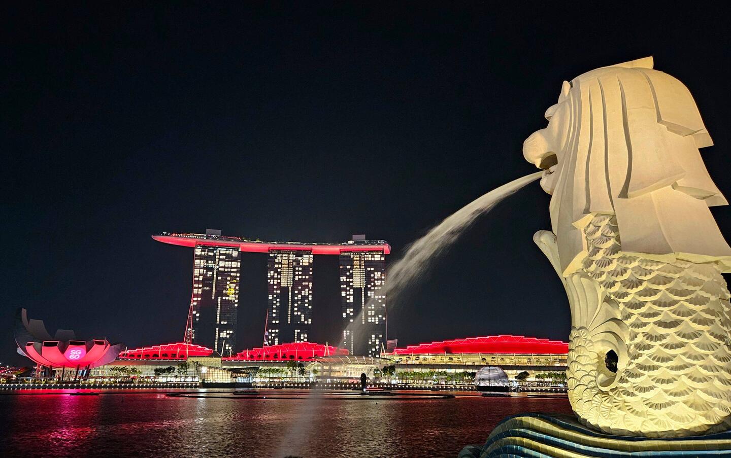 Im Vordergrund der Merlion - sozusagen das Wappentier Singapurs. Zum Hintergrund kommen wir noch...