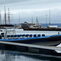 Our whale watching vessel (RIB boat)