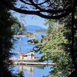 A window through the trees from the Japanese Garden to Butchart Cove