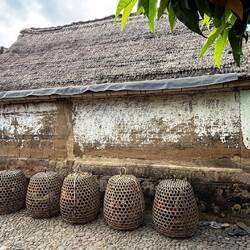 Kampfhähne (werden speziell gefüttert, massiert und gebadet)