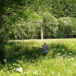 der Weg führt zuerst über eine Wiese