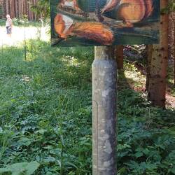 Lehrpfad auf dem Rückweg