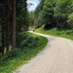 Die letzte Hälfte wurde geschoben. Bei einem 40kg Fahrrad nicht viel angenehmer wie hochfahren.