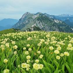 ... und hier geht es morgen weiter, vielleicht!😉