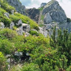 Nach steilem Schlussanstieg dann der ersehnte Blick zum Črna Prst mit Berghütte!