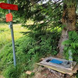 Perfekt für meine Mittagsrast!