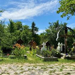 Ein schöner wilder Friedhof