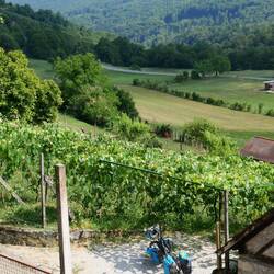 Petits vignobles sur des pentes escarpées