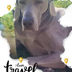 Urlaub ist sooo anstrengend