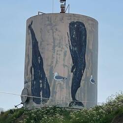 Wal auf Wasserspeichet