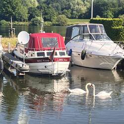 Satellitenschüssel auf dem Steg, echt jetzt?
