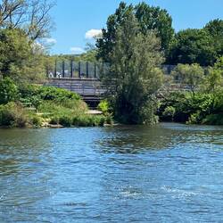 Nach knapp 50 km mündet die Ruwer in die Mosel, kaum zu sehen, nicht befahrbar