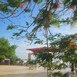 New spot by the bay to watch the sunset.