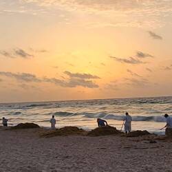 The crew cleaning up the sargaso (seaweed). They worked from 5:30 - 12!
