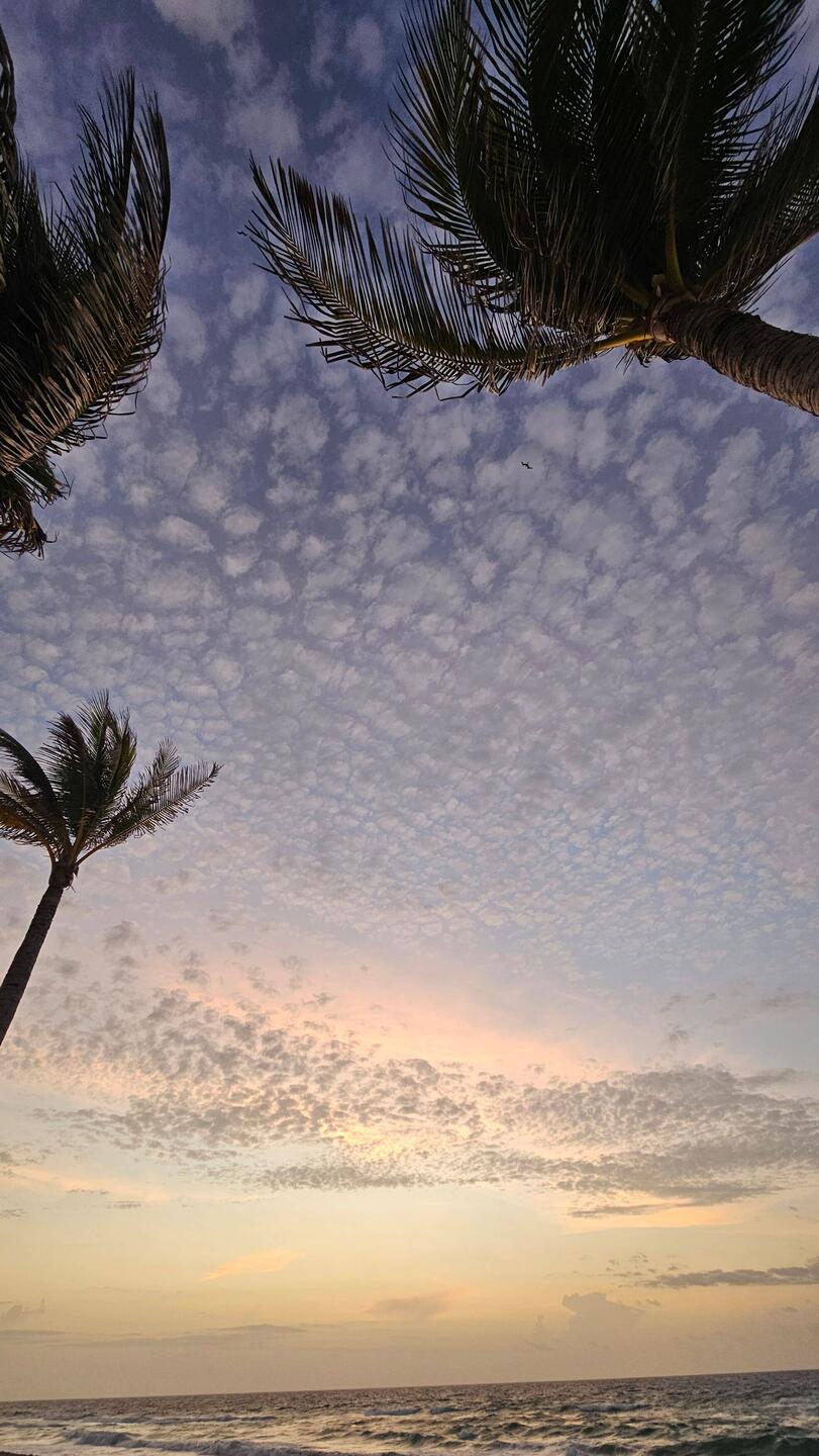 Sunrise from the beach.