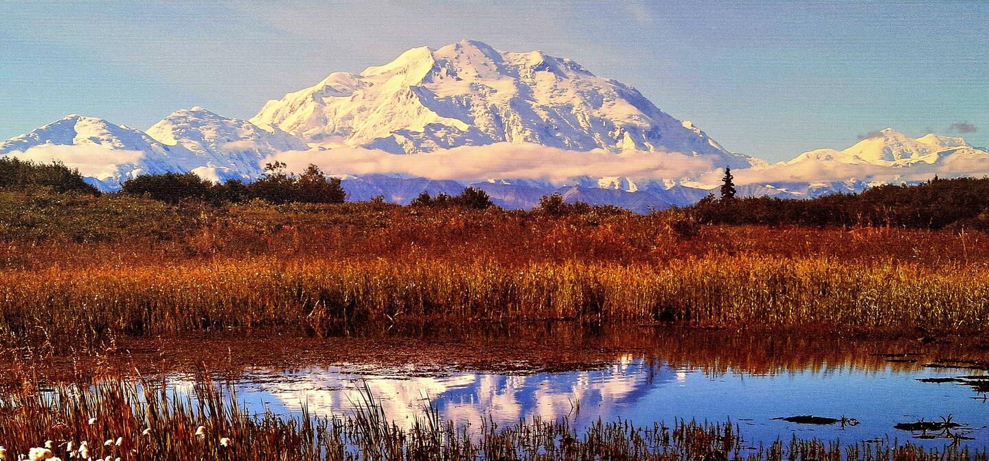 Denali mit 6190m (geklaut im Visitor Center Shop)