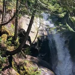 Upper Shannon Falls