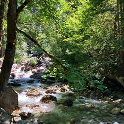Shannon Creek