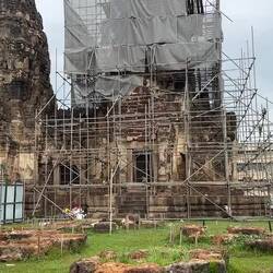 Monkeys at the prang that was under restoration.