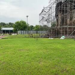 We observed the monkey feeding from a distance.