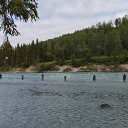 Angler 🎣 am Fluss