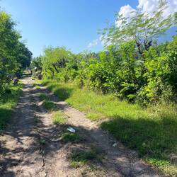 Side road?