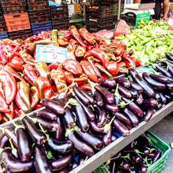 Biggest peppers I've seen