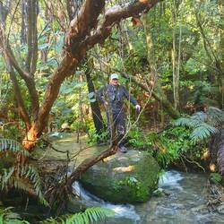 David, bush track behind camp